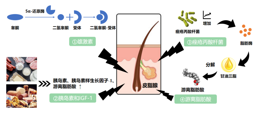 祛痘產(chǎn)品,祛痘功效測定,化妝品,監(jiān)督