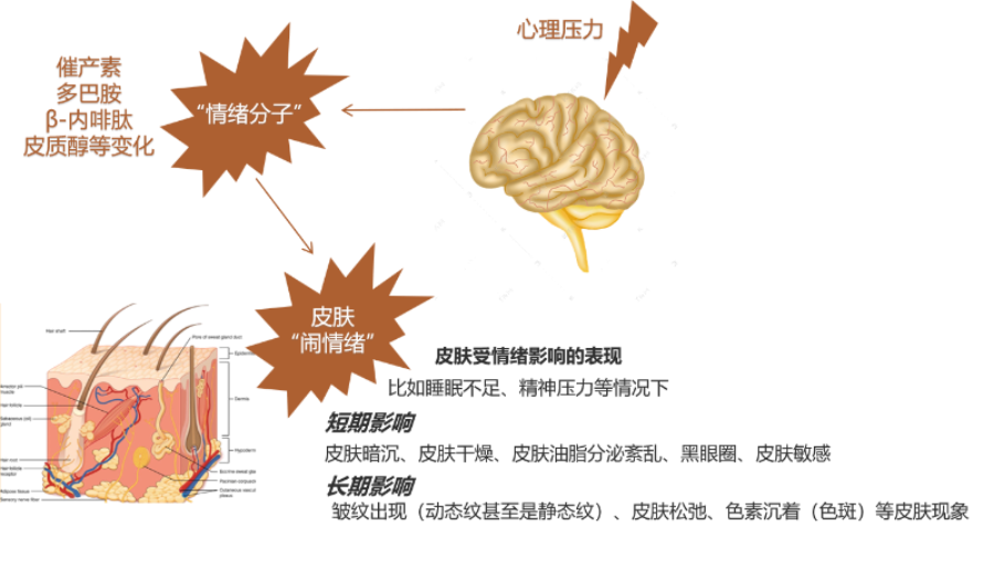 化妝品,評價(jià),皮膚情緒,護(hù)膚