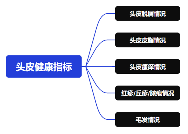 頭皮,健康,頭皮脫屑,頭皮皮脂