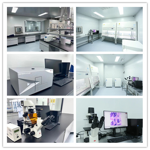 瑞旭科新生物,化妝品功效,日化品,瑞旭集團(tuán),?？茩z測,注冊備案