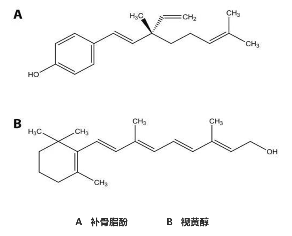 補骨脂酚,抗衰,視黃醇,修復皮膚