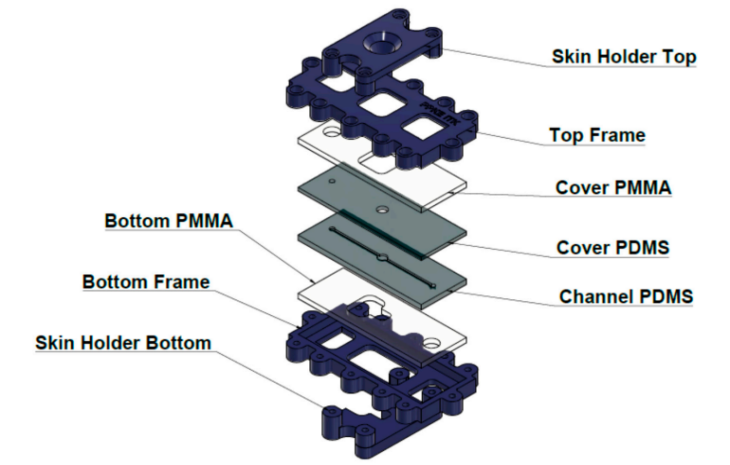 新型皮膚,芯片,化妝品安全,功效評價(jià)
