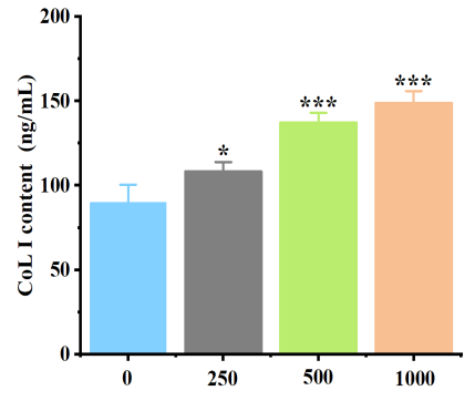 體外細(xì)胞培養(yǎng),模型,化妝品抗衰,功效評價(jià)