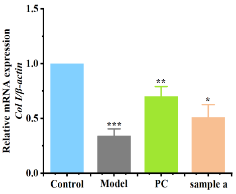 體外細(xì)胞培養(yǎng),模型,化妝品抗衰,功效評價(jià)