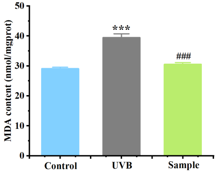 體外細(xì)胞培養(yǎng),模型,化妝品抗衰,功效評價(jià)