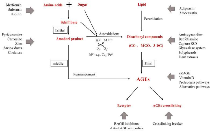 肌膚,化妝品,抗糖化,功效,評(píng)估