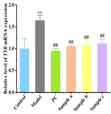 體外細(xì)胞,培養(yǎng),模型,祛斑,美白,功效評(píng)估