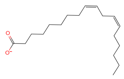美白,功效原料,信號(hào)通路,黑素轉(zhuǎn)移,百里香醌