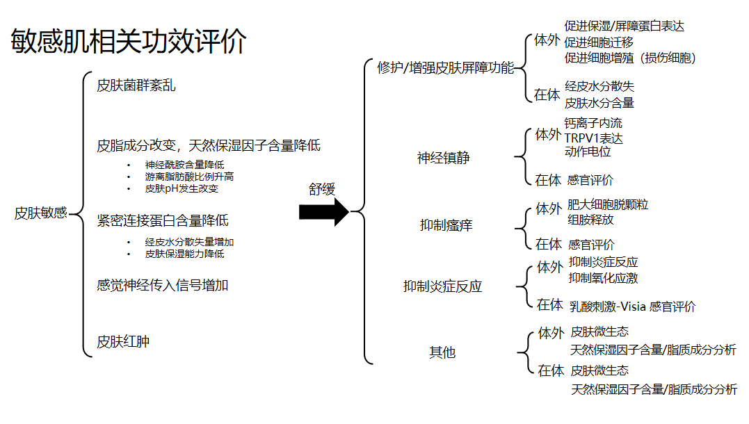 敏感肌,護(hù)理類,成分,功效評估