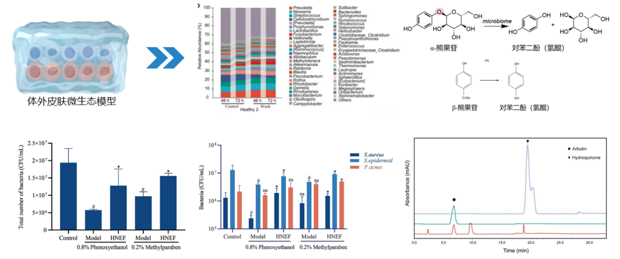 PDRN,再生醫(yī)學,護膚前沿,皮膚微生態(tài),安全性評估