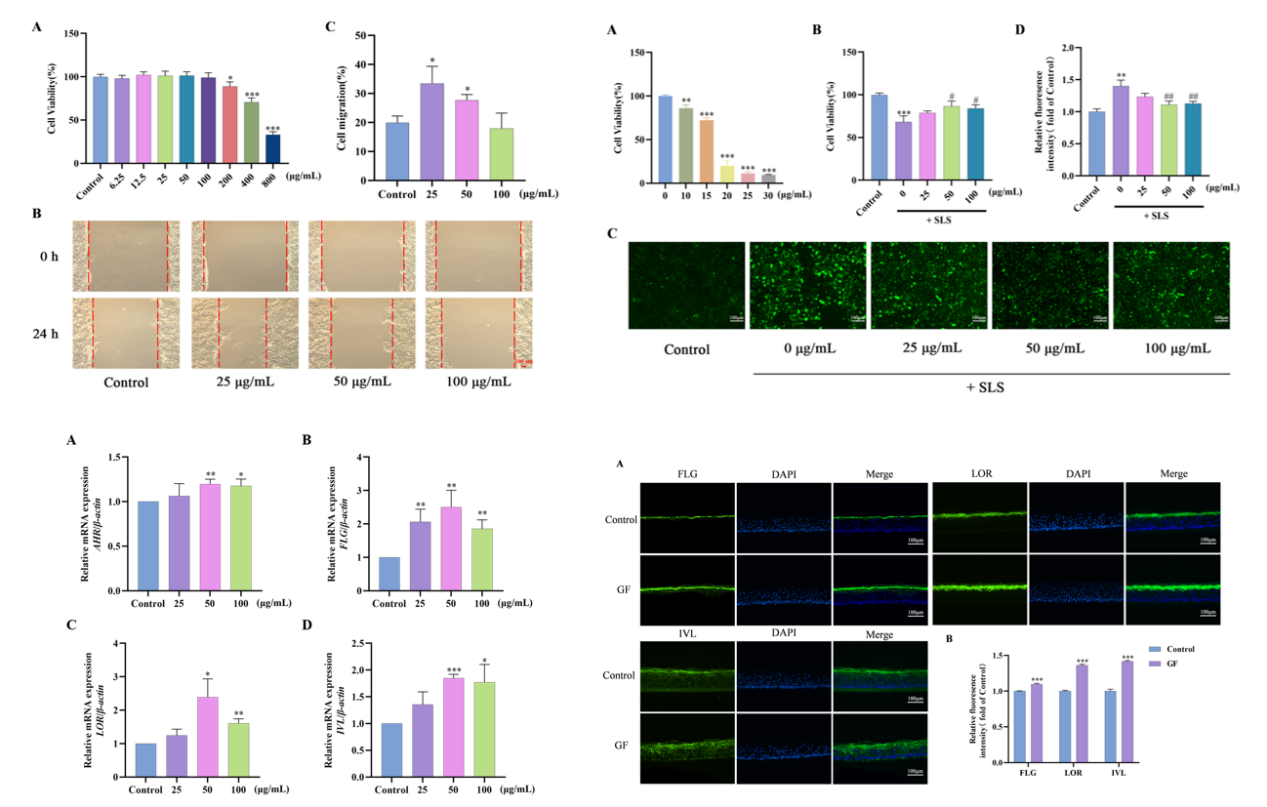 SCI期刊,科新生物,君裕集團(tuán),梔子提取物,增強,表皮屏障機(jī)制