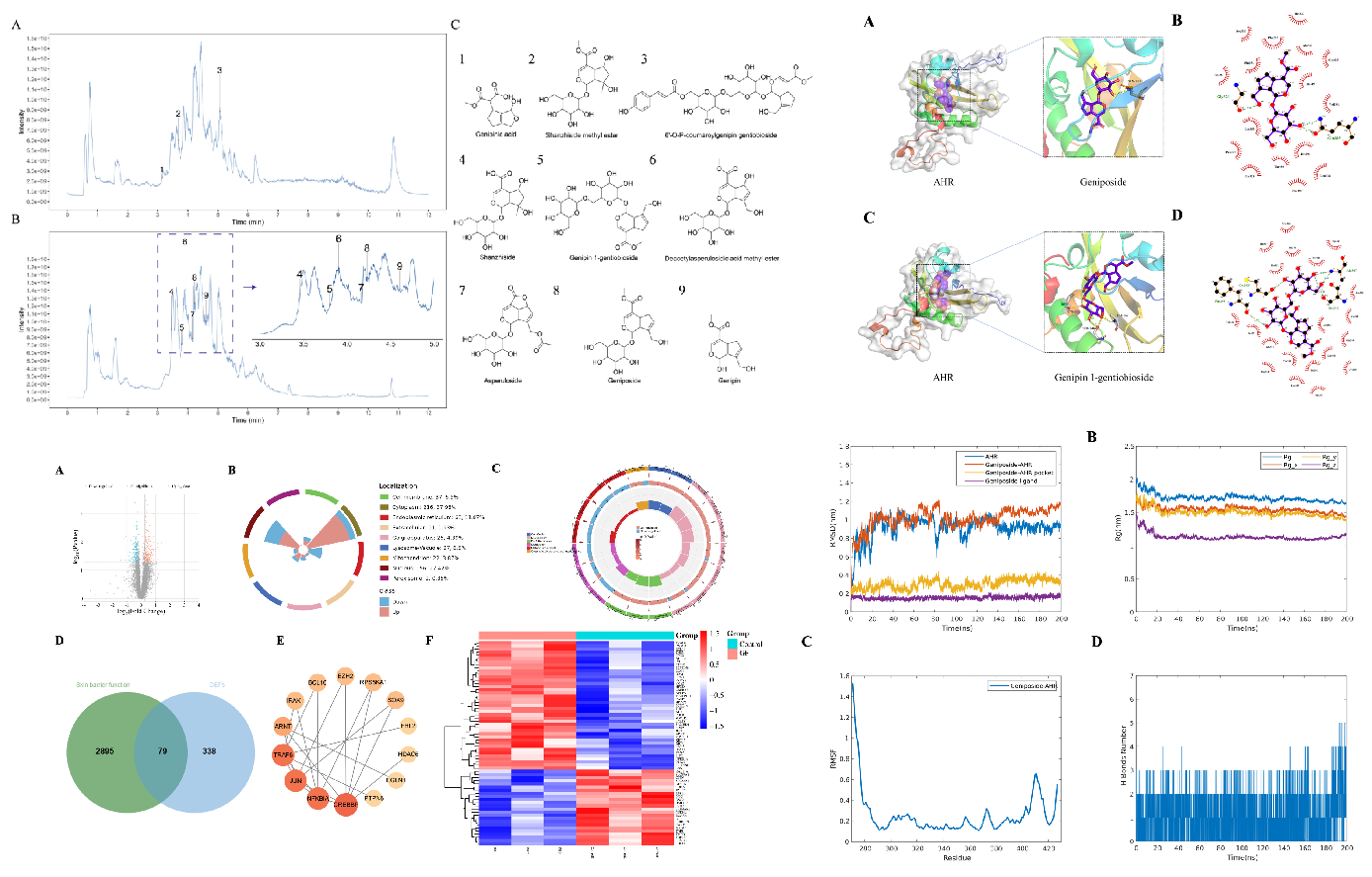 SCI期刊,科新生物,君裕集團(tuán),梔子提取物,增強,表皮屏障機(jī)制