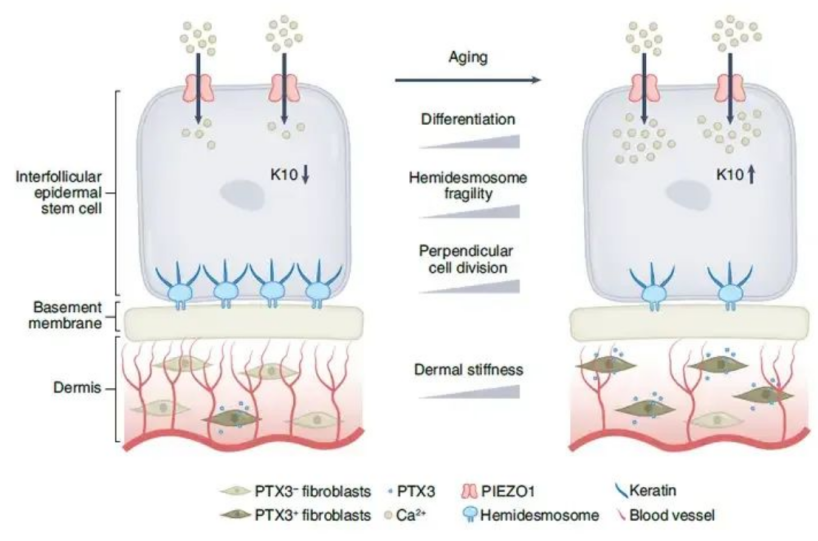6974c7eb194769bfbb64b88799c257b5